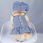 Sweetie Pie (Hat and Dress set)