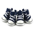 Converse with me